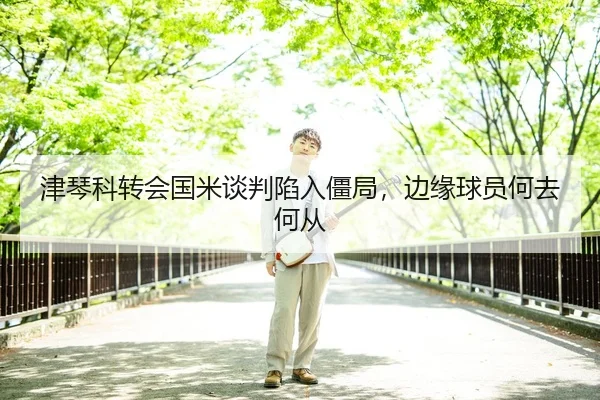 津琴科转会国米谈判陷入僵局，边缘球员何去何从
