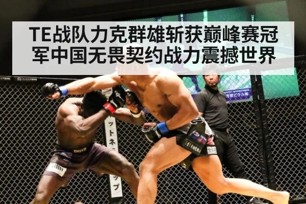 TE战队力克群雄斩获巅峰赛冠军中国无畏契约战力震撼世界